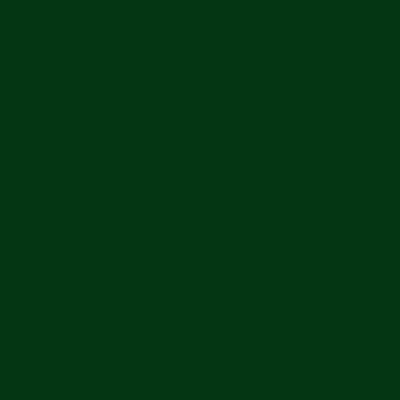 RAL6005 - Green moss
