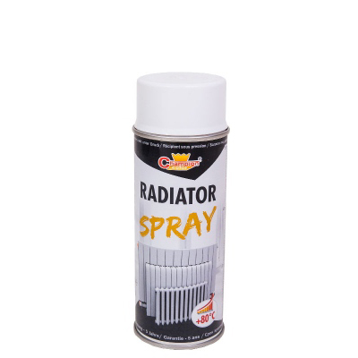 Radiator Enamel - spray professional